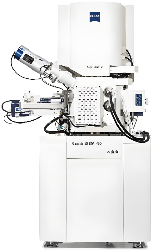 扫描电子显微镜（SEM）